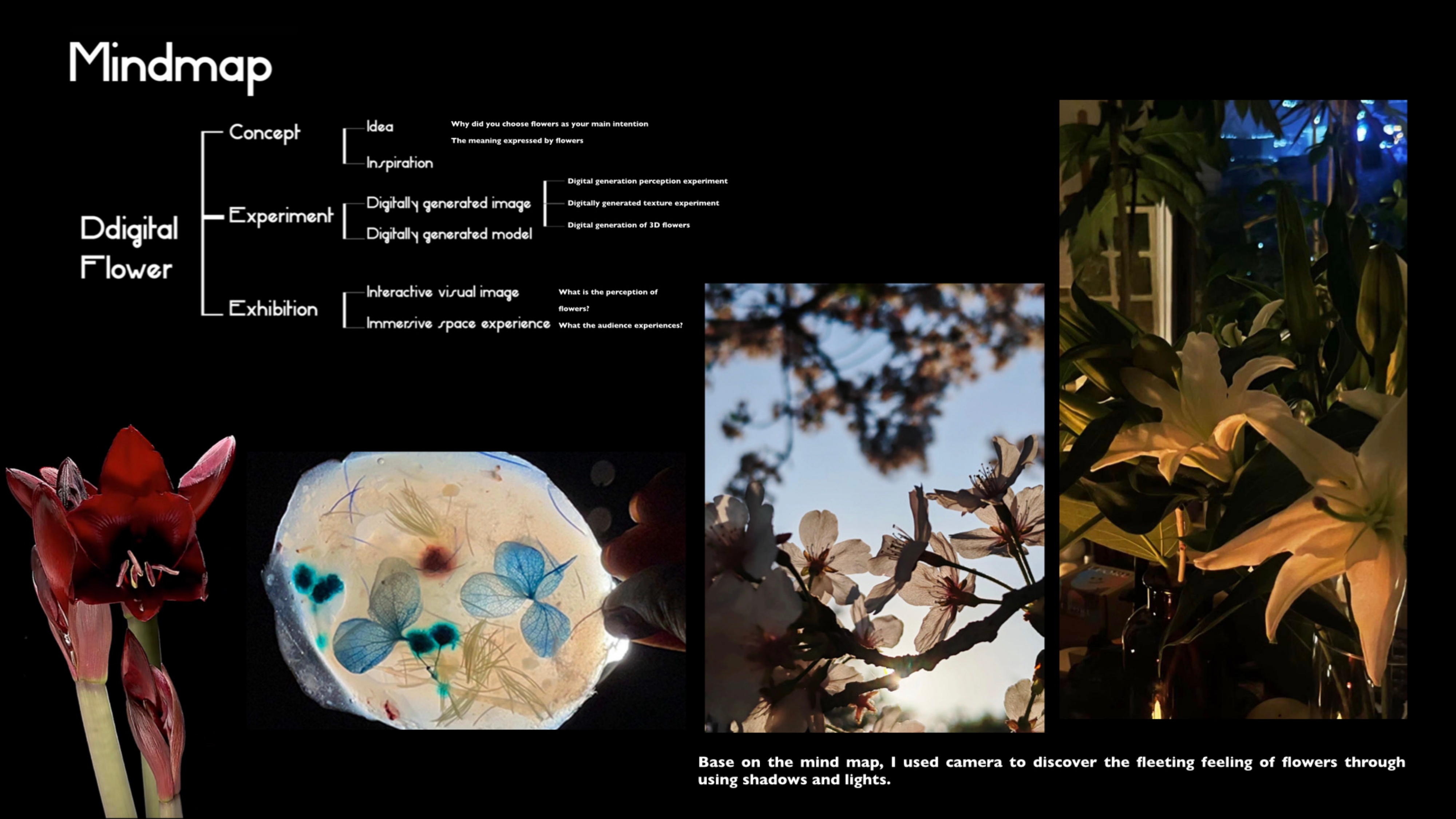 Perception of Flower 2