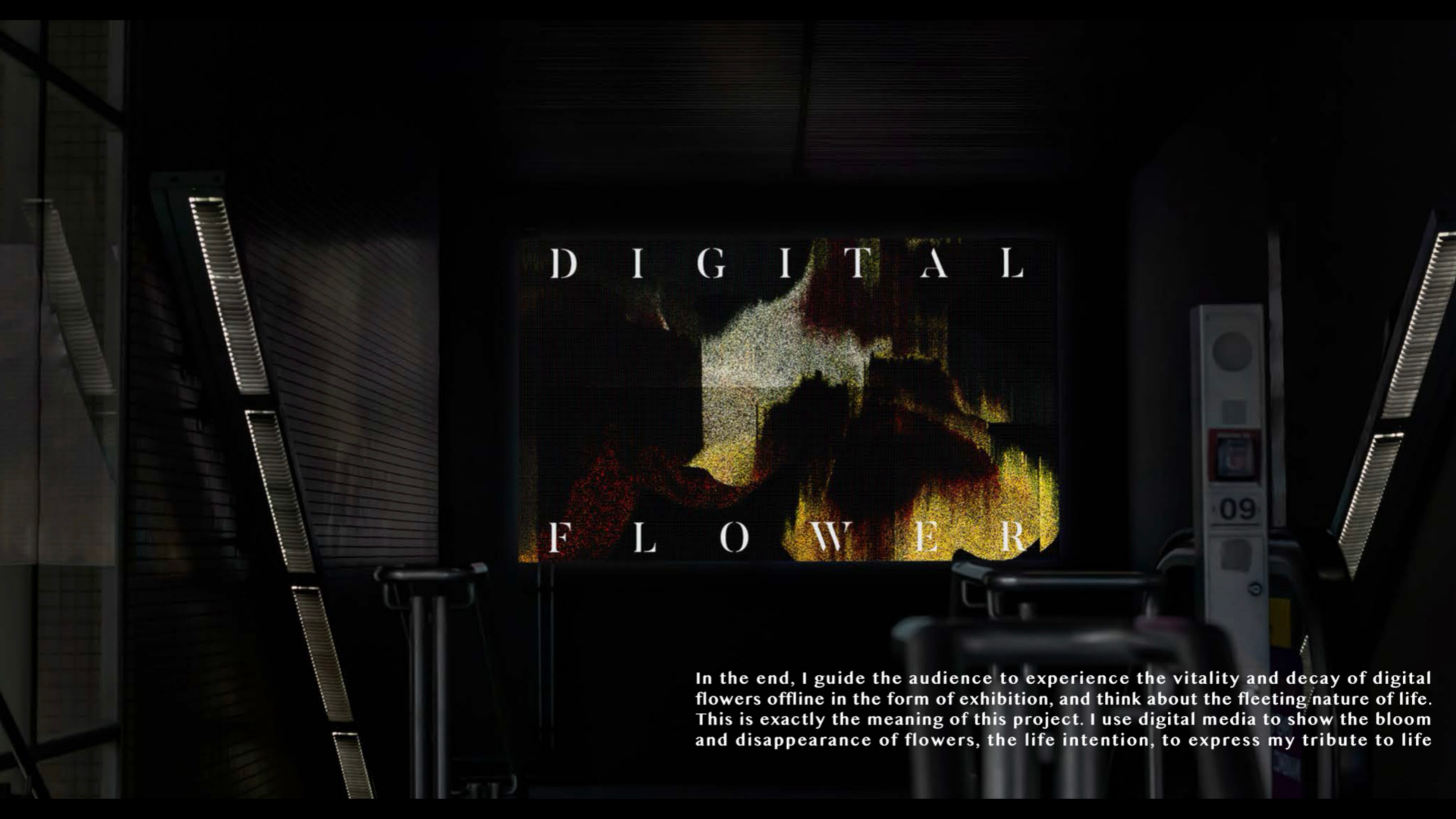 Perception of Flower 5